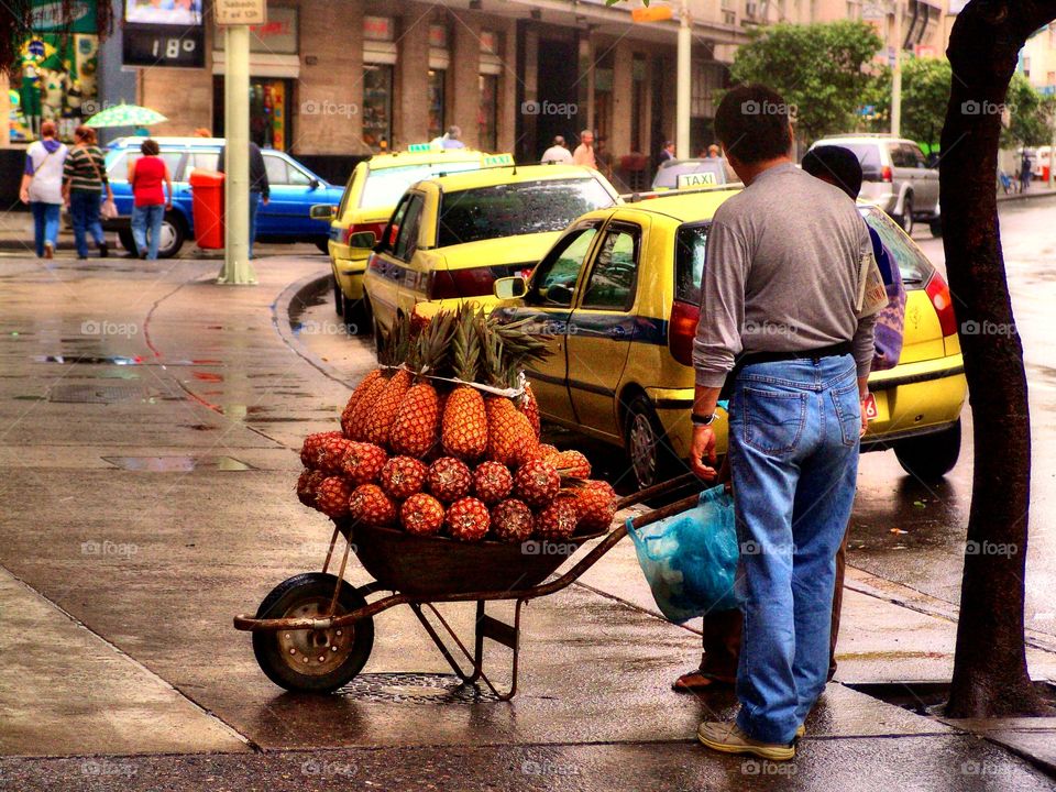 ananas. 2 men and and a wheelbarrow with ananas