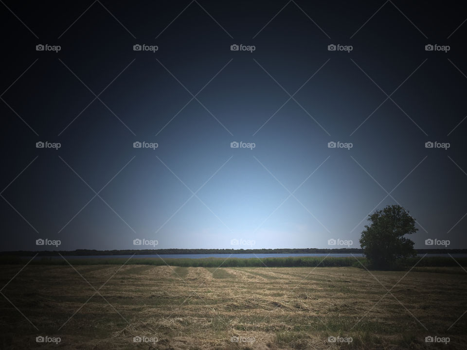 Yellow grass and sea 