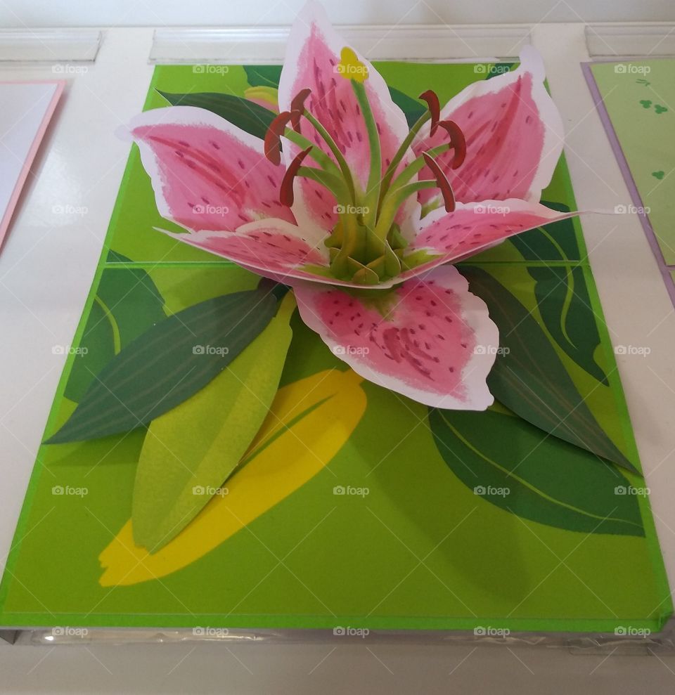 Pop Up Paper Flower Card