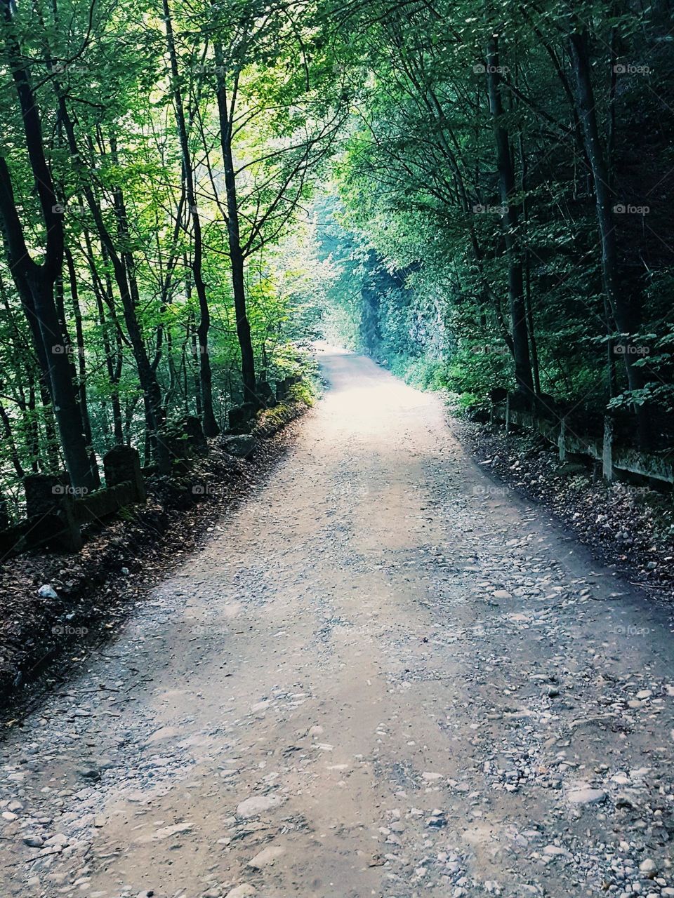 the road from the Jiului gorge