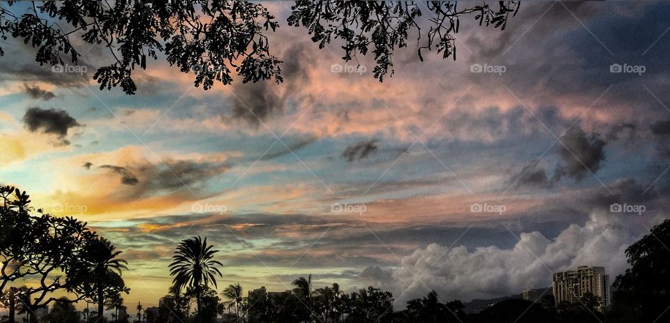 View of dramatic sky with trees