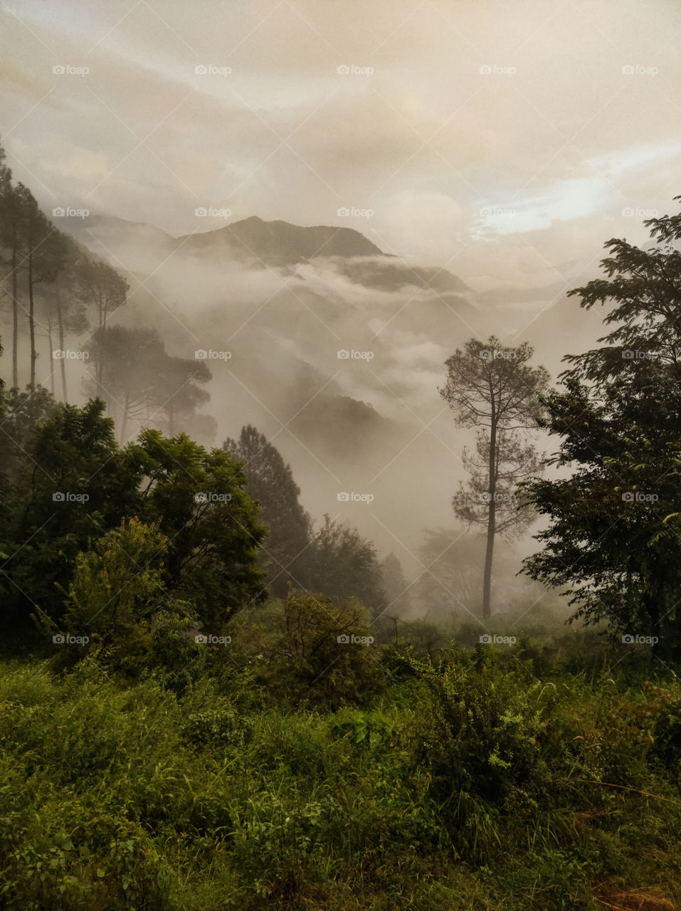 Moody mountains