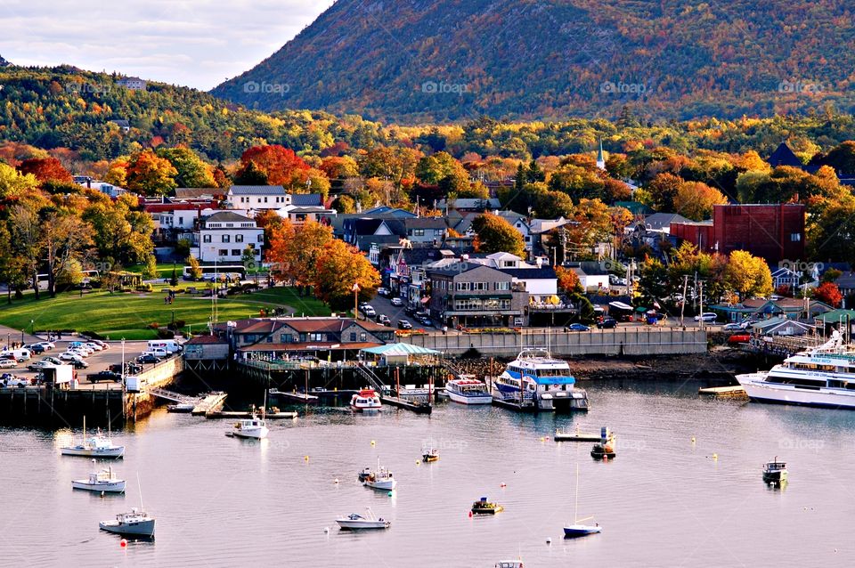 At the harbor - Almost everybody loves the fall season. Autumn leaf color is a phenomenon that affects the normal green leaves of many deciduous trees and shrubs by which they take on, during a few weeks in autumn season 