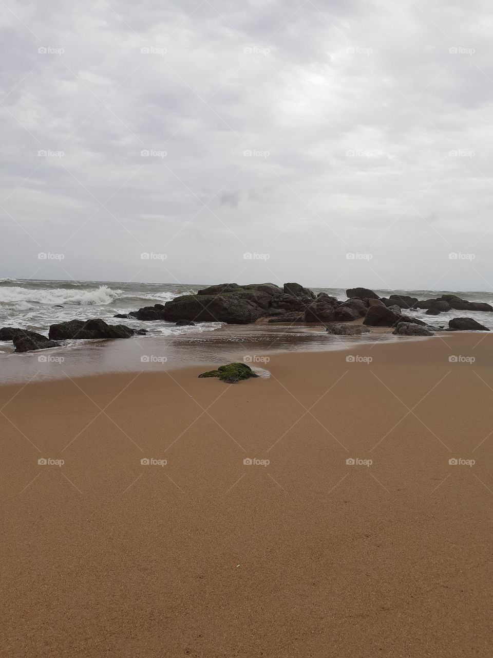 mountlavinia beach,This image has mossy rocks on the beach