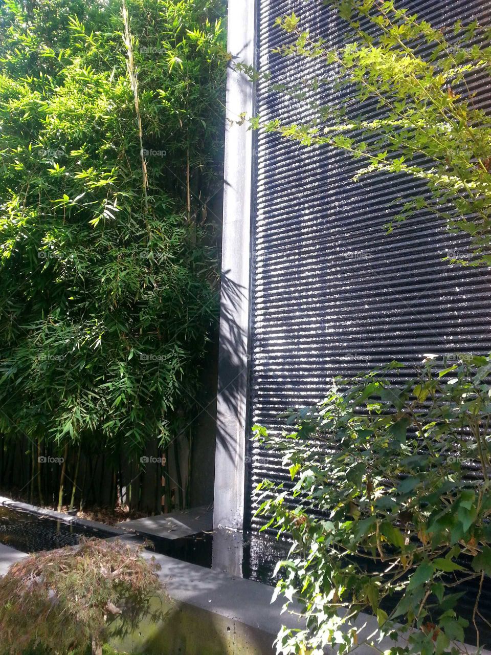 modern architecture water feature