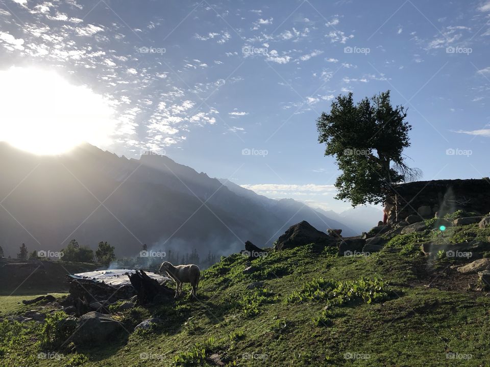 Morning view outside of a gypsy mud hut on the mountains of Kashmir 