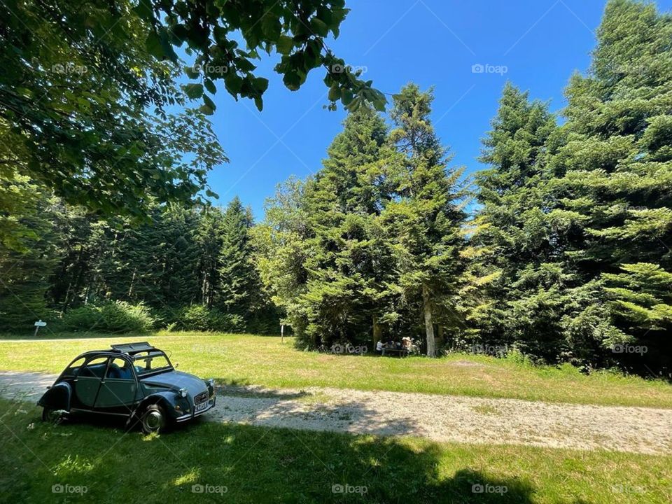 2CV in the forest road.
Old car.