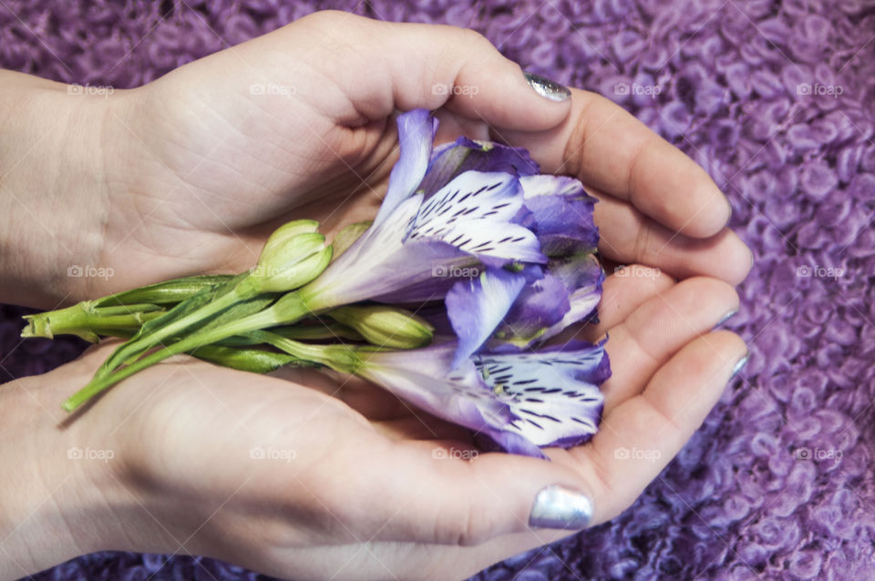 spring flower in the girl's hands