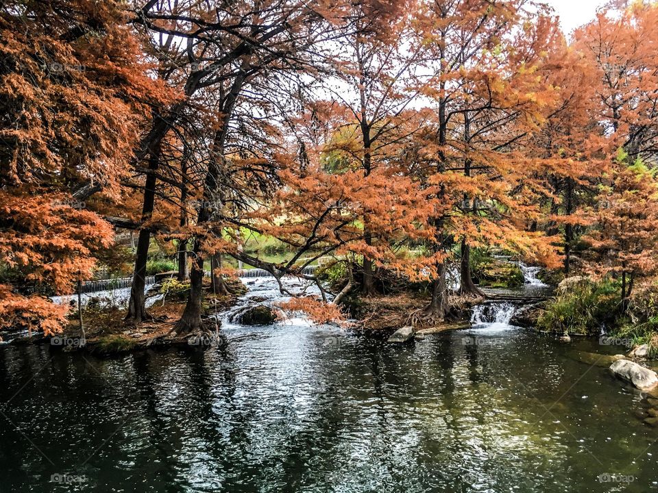 Fall in Texas