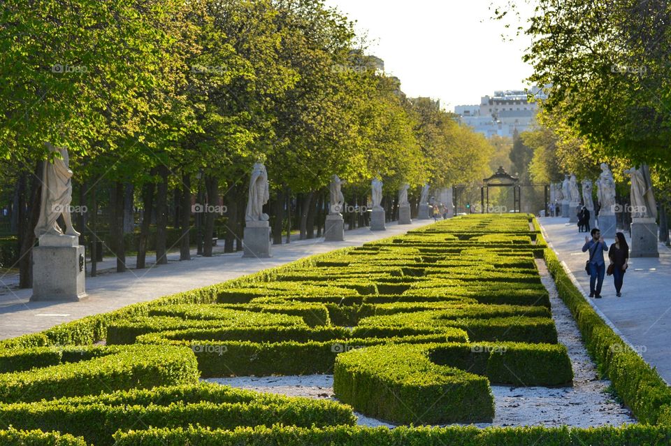 A walk in the park. Couple walking in Retiro Park, Madrid, Spain