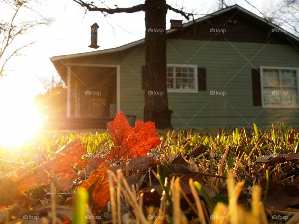 Farm house in Fall