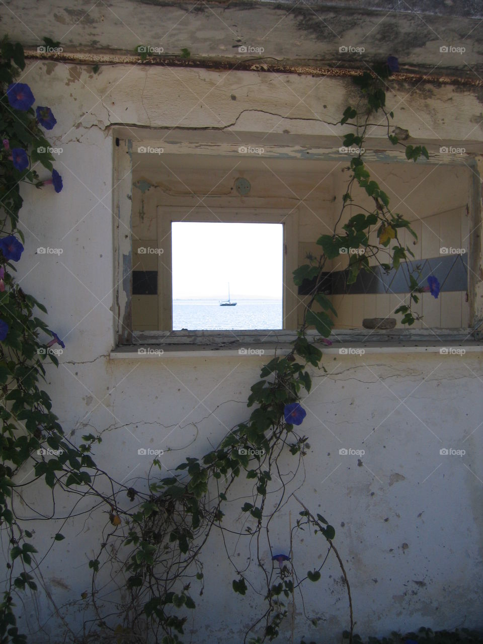 Room With a View. Summer sailing