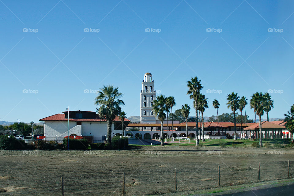 Palms and unusual building 