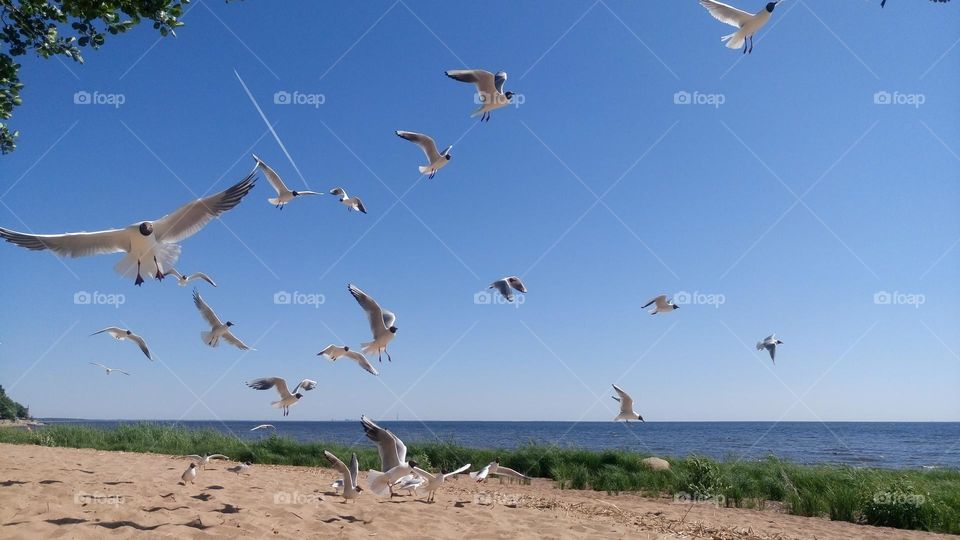 Amazing landscape 💙🤍 Bird flights🤍💙