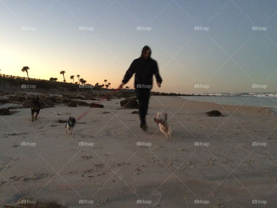 Pups run on Palm Coast beach 