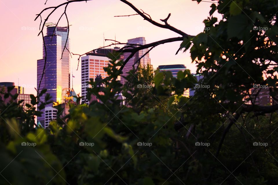 Minneapolis . View of downtown 