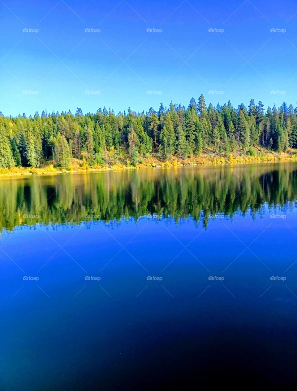 reflections in the lake