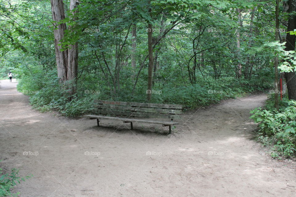 bench at crossroads