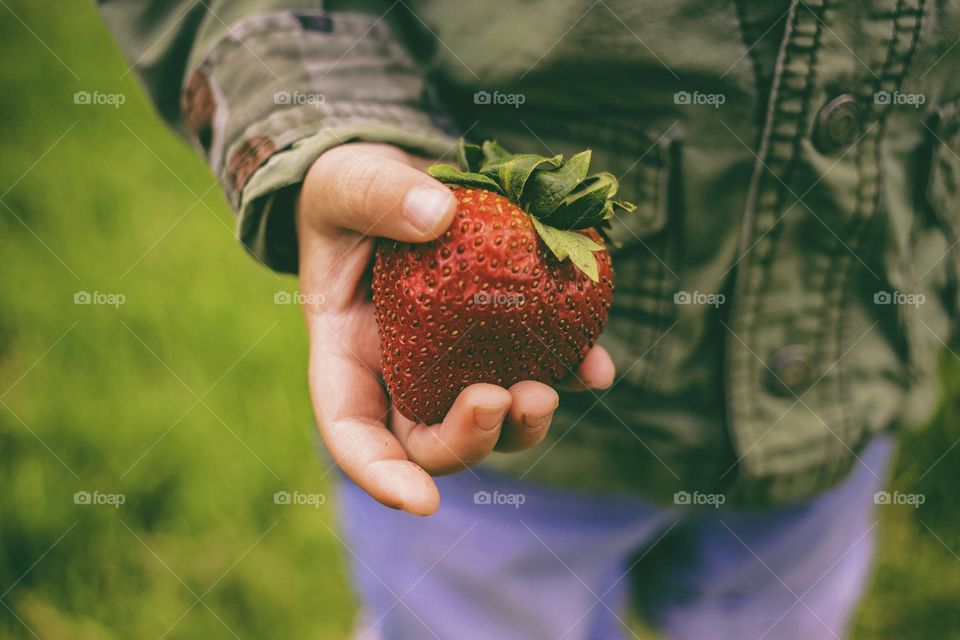 strawberry 