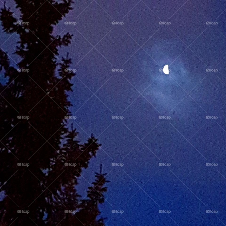 Mooning and Pining for You