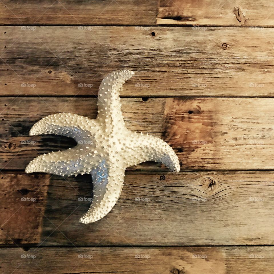 Starfish on wood