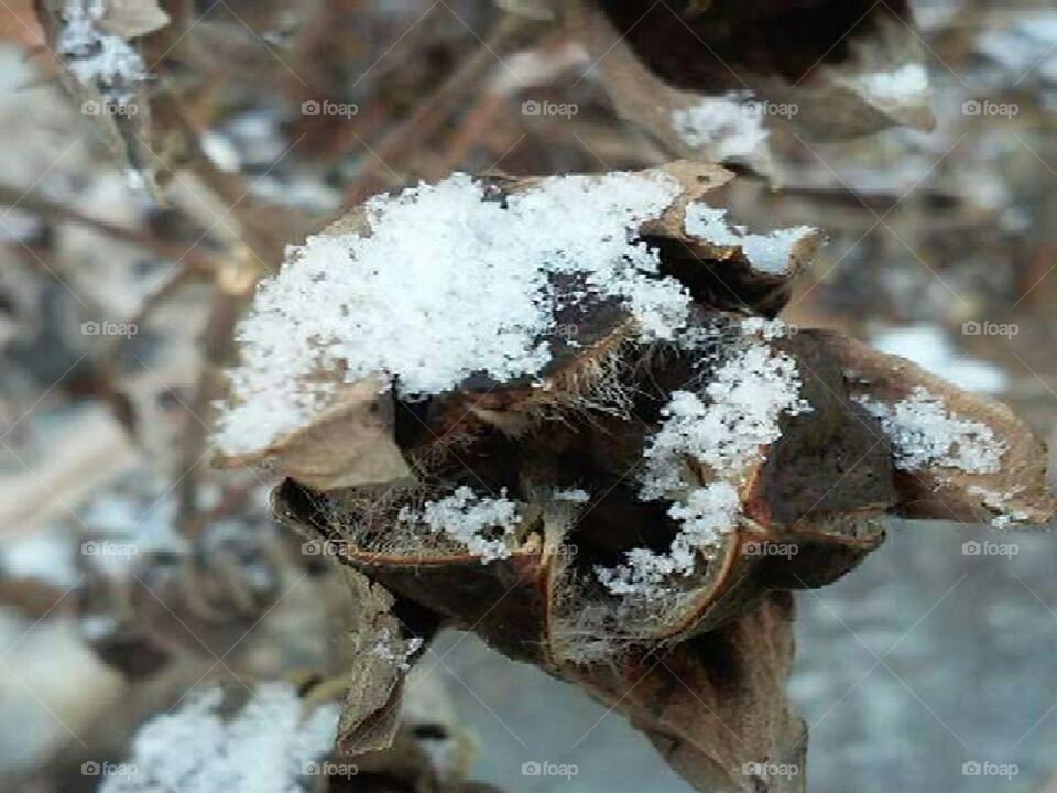 mother earths way of replenishment