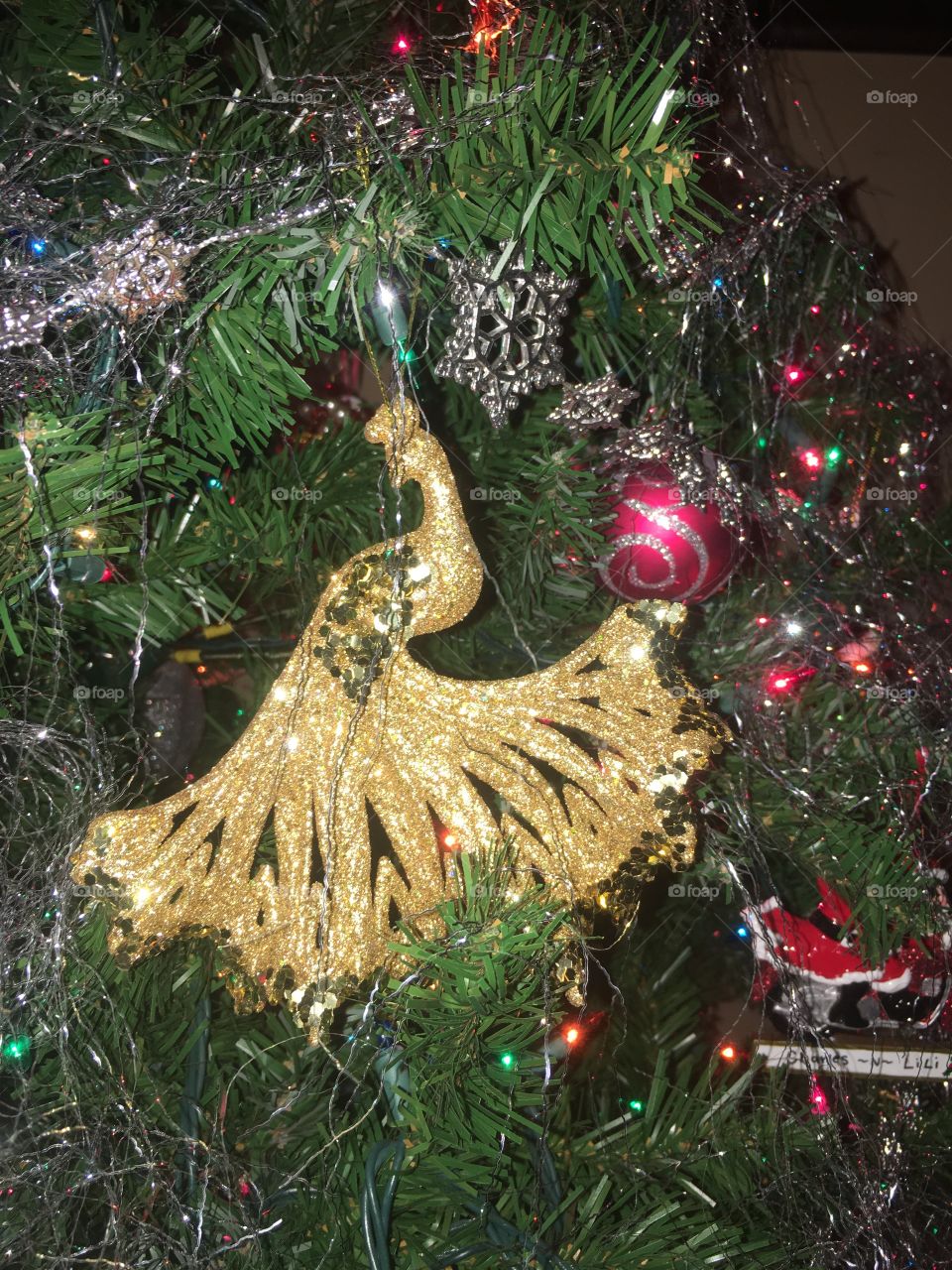 Peacock ornament