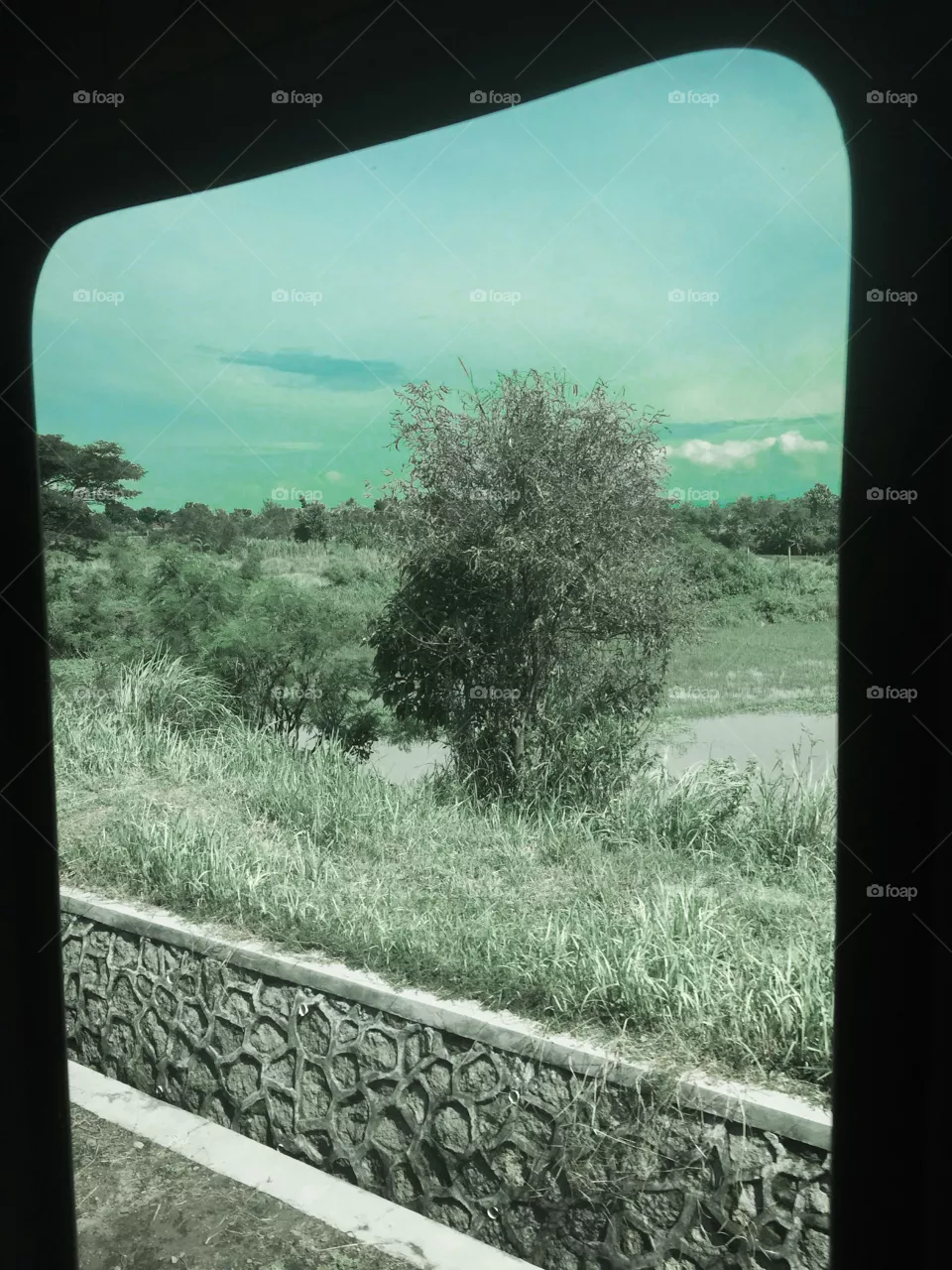 Still on the train