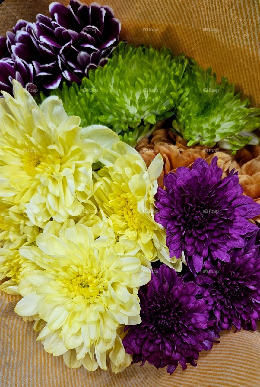 A really beautiful colorful bouquet with chrysanthemums and dahlias