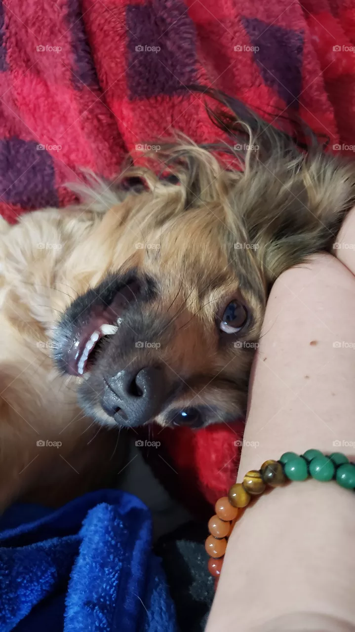 Goofy