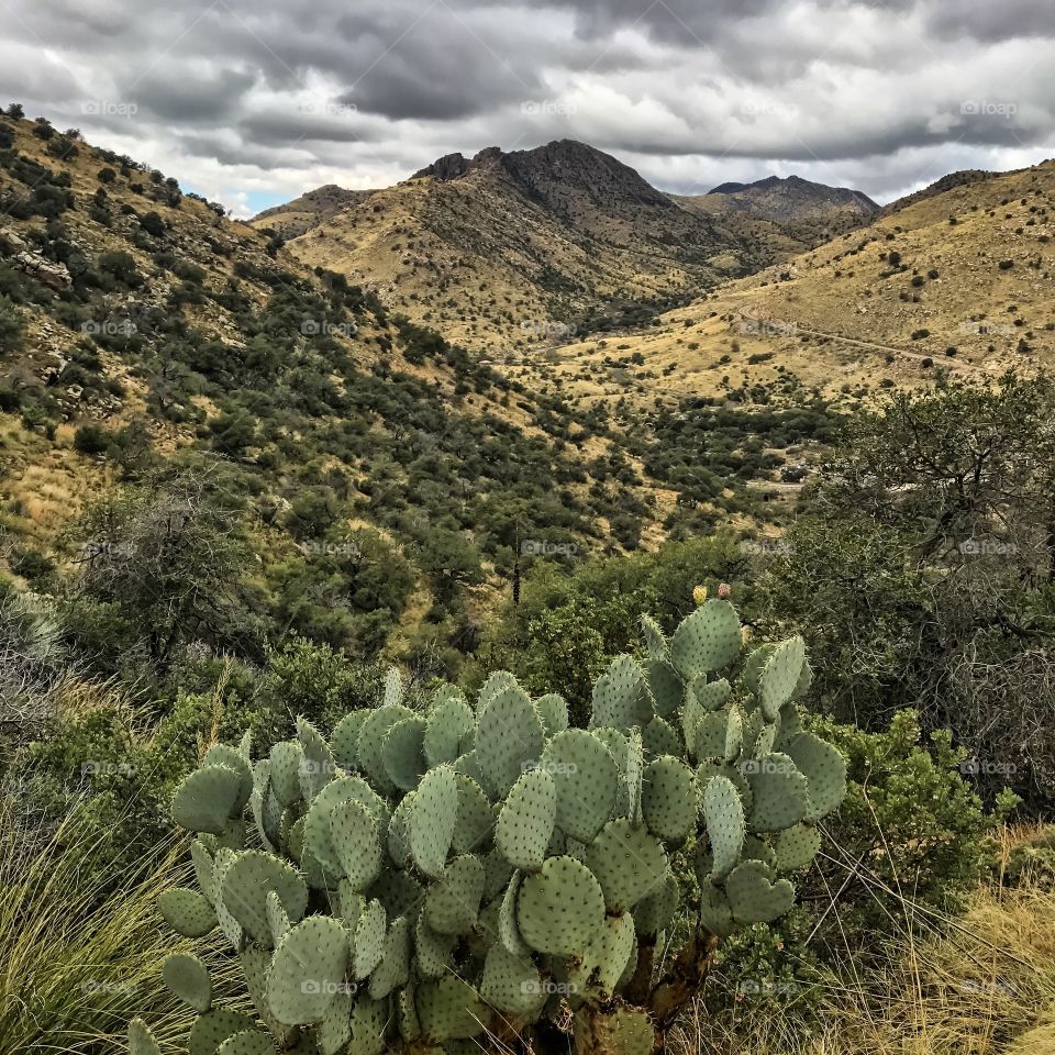 Mountain Landscape - Arizona 