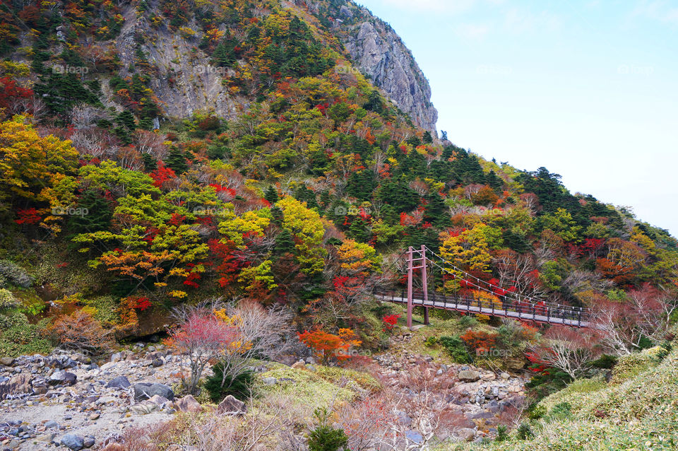 Korea. Halla mountain