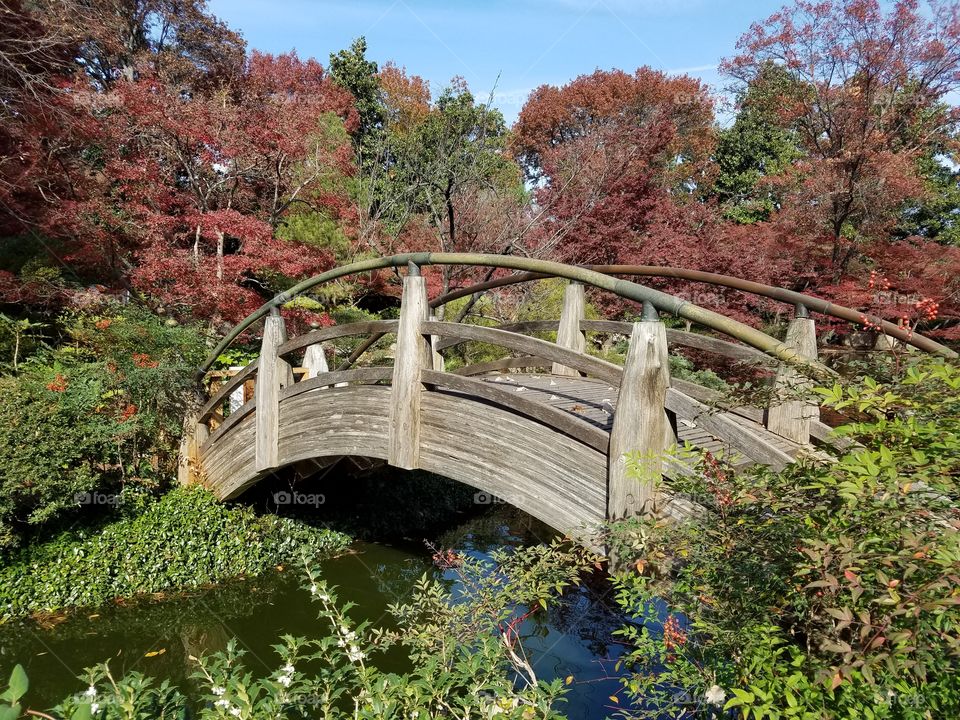 Japanese Gardens at Fort Worth botanical
