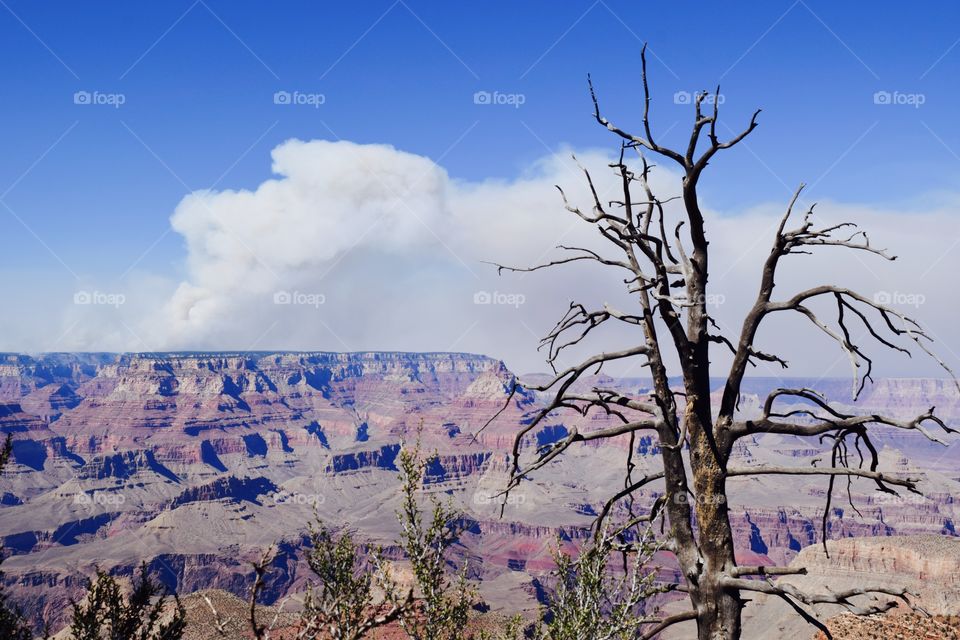 Grand Canyon Wildfire