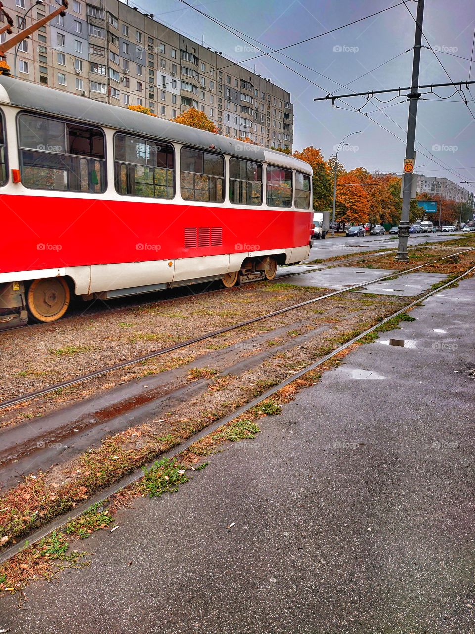 Rainy autumn time. Autumn is a time of romance, a warm blanket, cocoa and reading books by the fireplace.