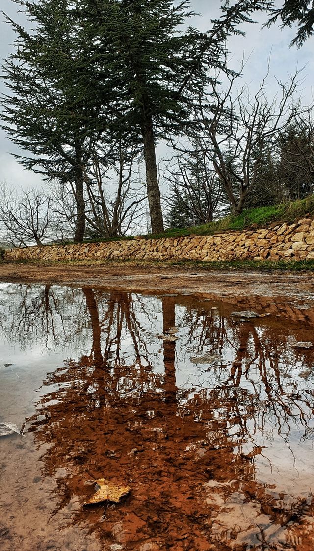 Reflection