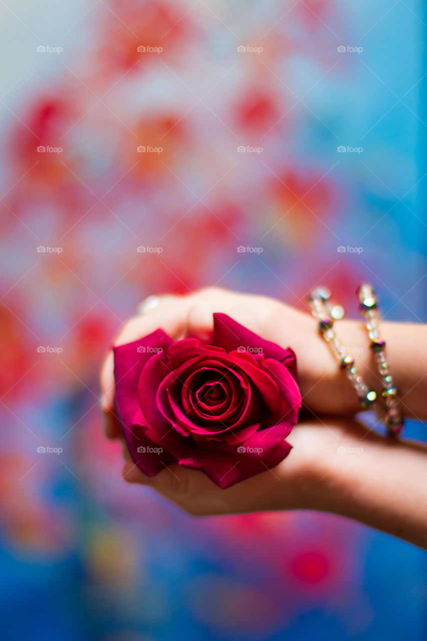 Color vs black and white - color wins! Love this image of bright red rose held in girl's hands with blurred red and blue background