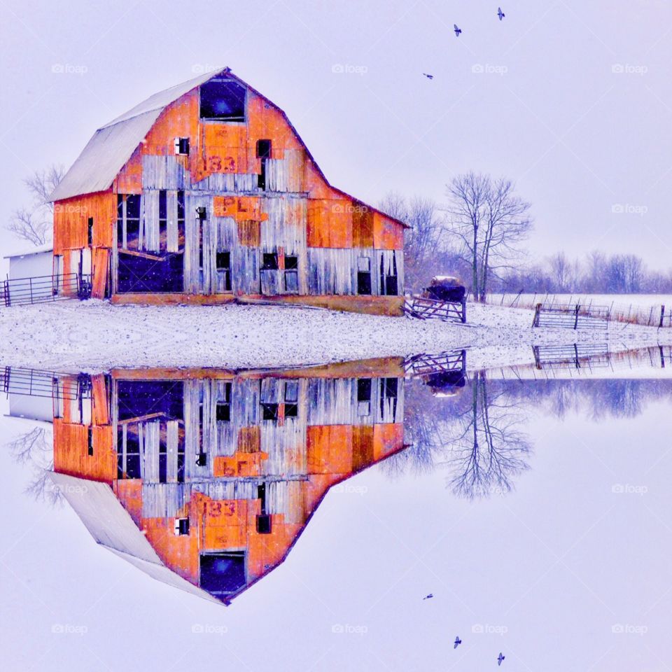 Winter reflections 