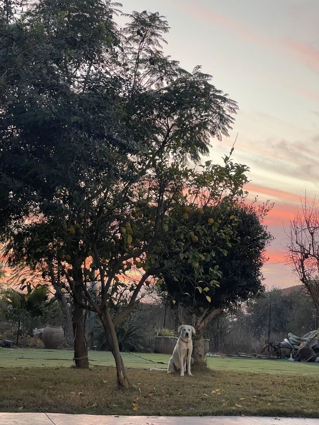 Sunset