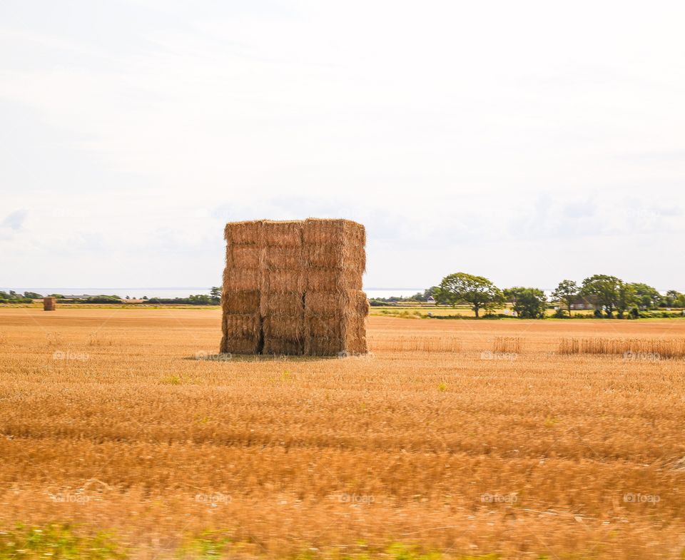 Preparing for winter. Yellow autumn field of hay