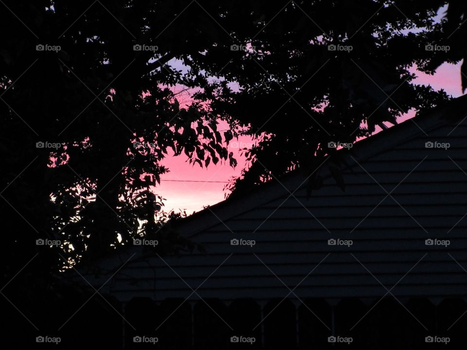 morning comes to the suburbs