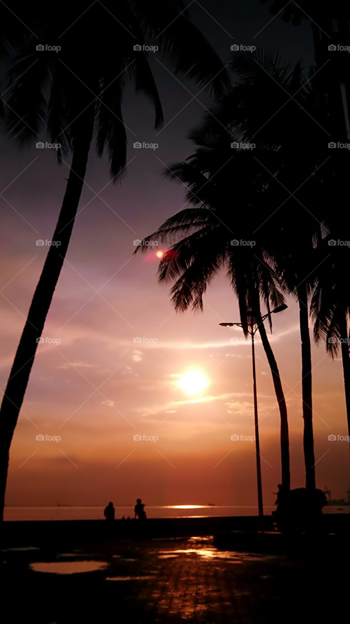 tropical life. a sunset view from tropics