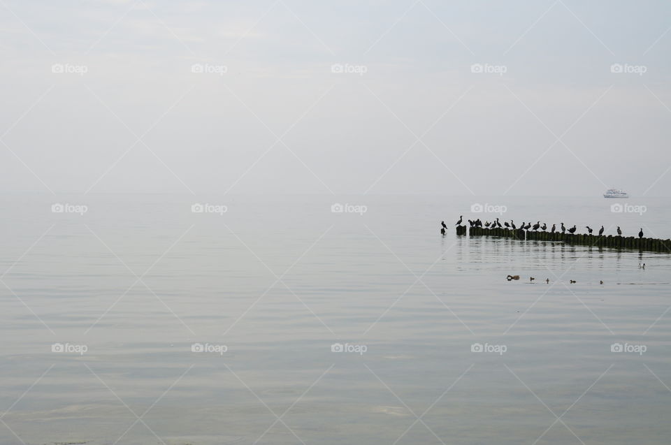 grey day at the Baltic sea coast in Poland