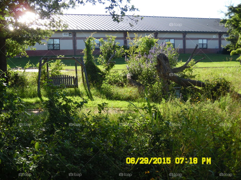 nature project. This is a picture of the East side of Graham middle school 🏫 where they are involved in a nature project