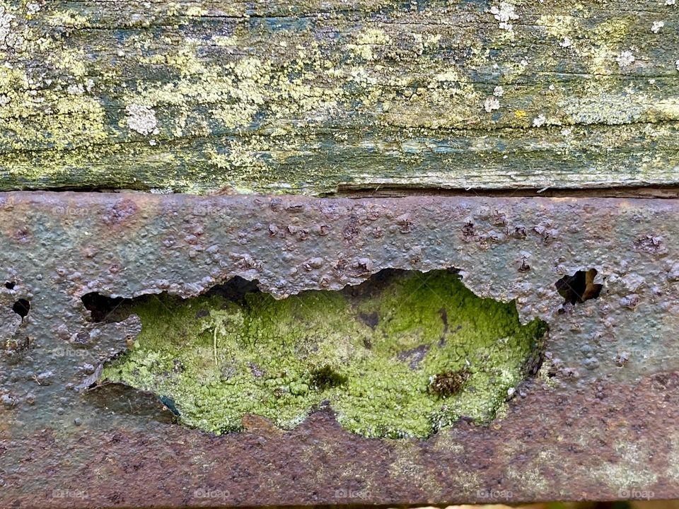 A piece of rusty metal and some weathered wood from a piece of old farm equipment