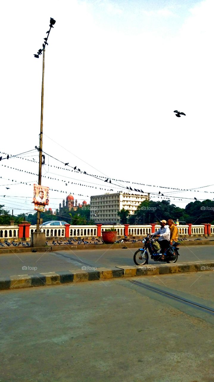 kabootar.   nice kabootar.  nice building