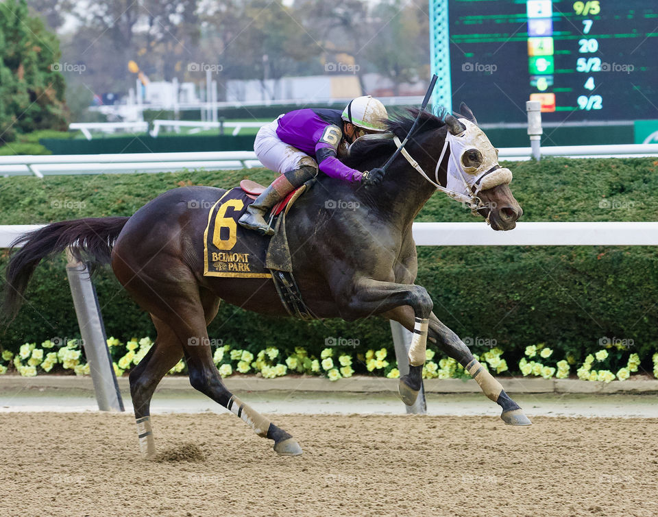 Racing from Belmont by Fleetphoto.net