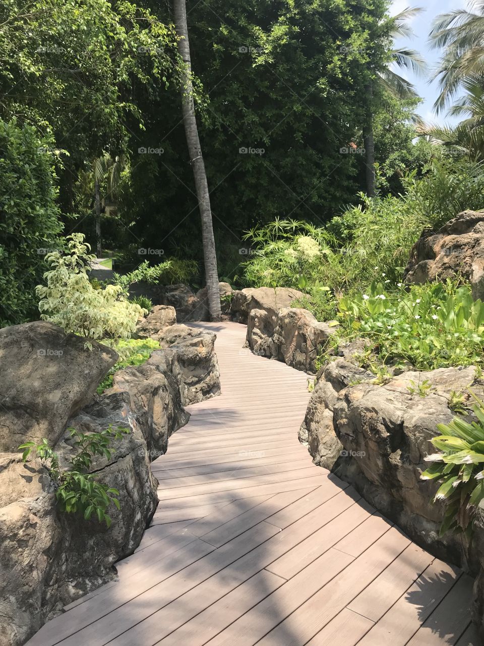 take a walk around the garden , a small walkway is wooden paved outdoors, 2 sides with rocks , surrounded by coconut trees and many other trees. Behind is a very large and beautiful swimming pool