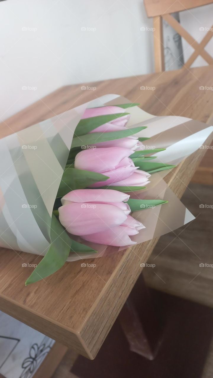 Pink tulips
