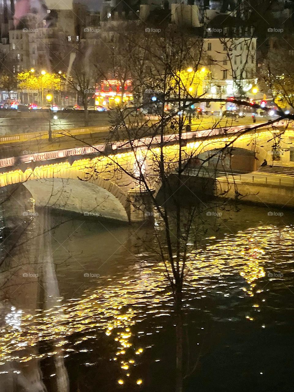 Pont Louis Philippe à Paris